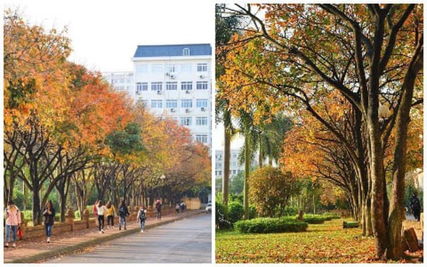 Cơ sở vật chất Đại học Sư phạm Hà Nội có tốt không? Trường có cũ kỹ như lời đồn?